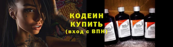 круглые Карпинск
