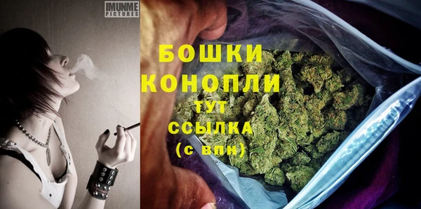 круглые Карпинск