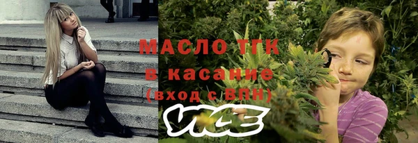 круглые Карпинск